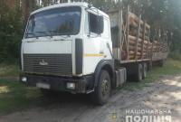 Черные лесорубы: на Харьковщине задержаны браконьеры
